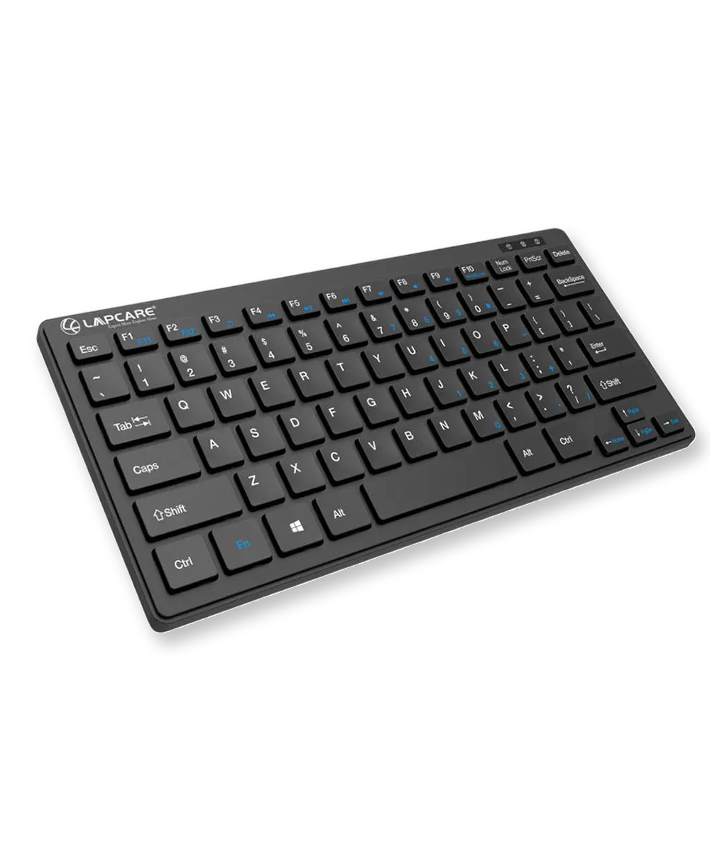 Lapcare D-LITE-BLK Multimedia Mini Keyboard (Black)